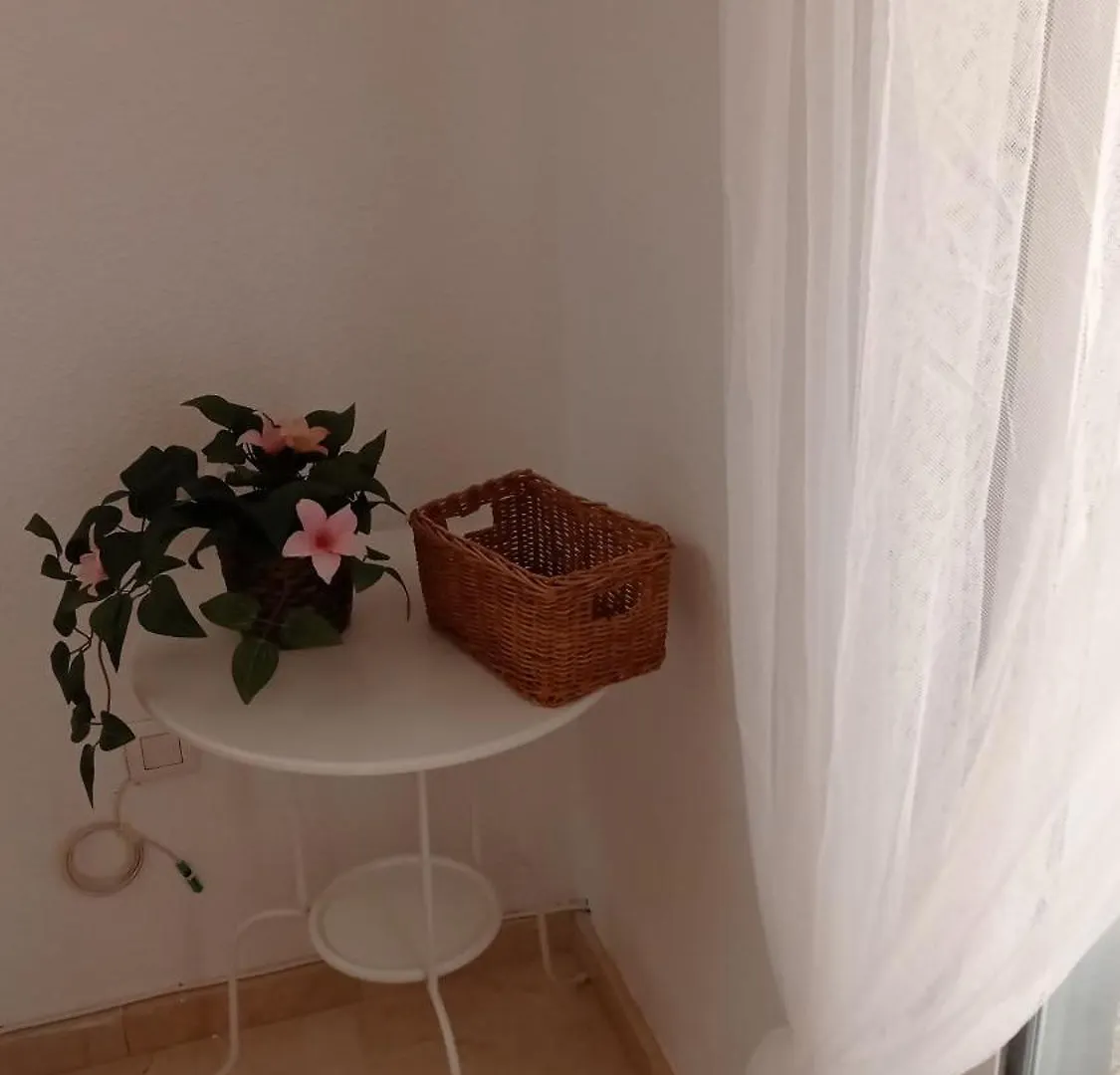 Appartement Penthouse With Solarium In The Center Of Malaga-Atico Con Solarium En El Centro De Málaga 0*,  Espagne